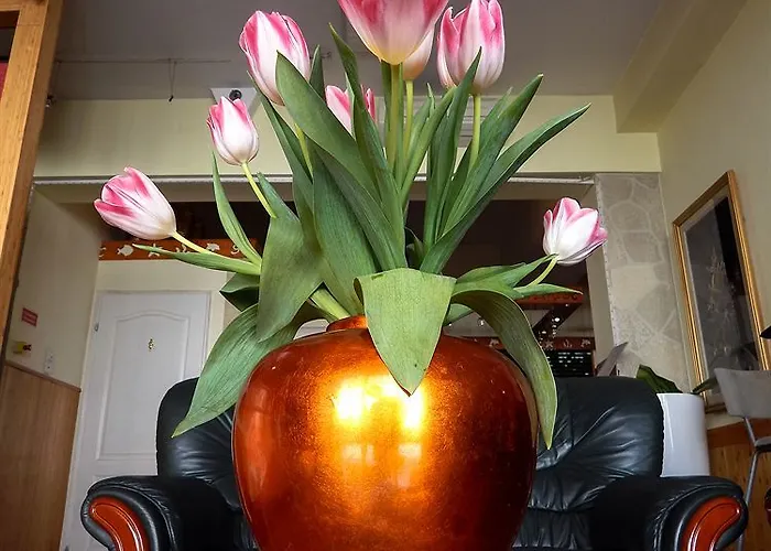 Chesscom 3* 布达佩斯