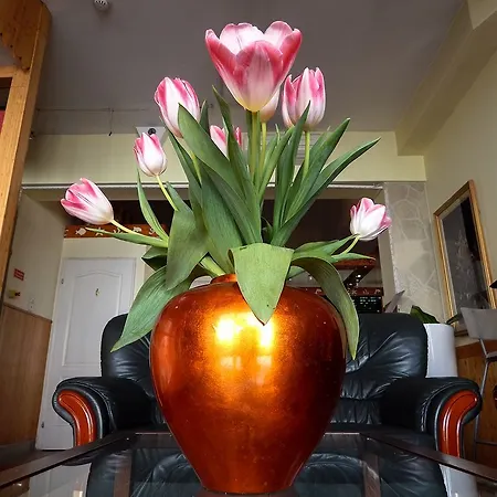 Chesscom 3* بودابست