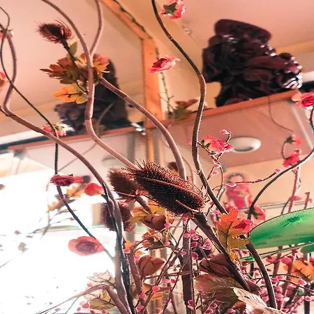 Hotel Chesscom Budapest