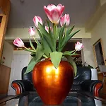 Chesscom 3* Budapest